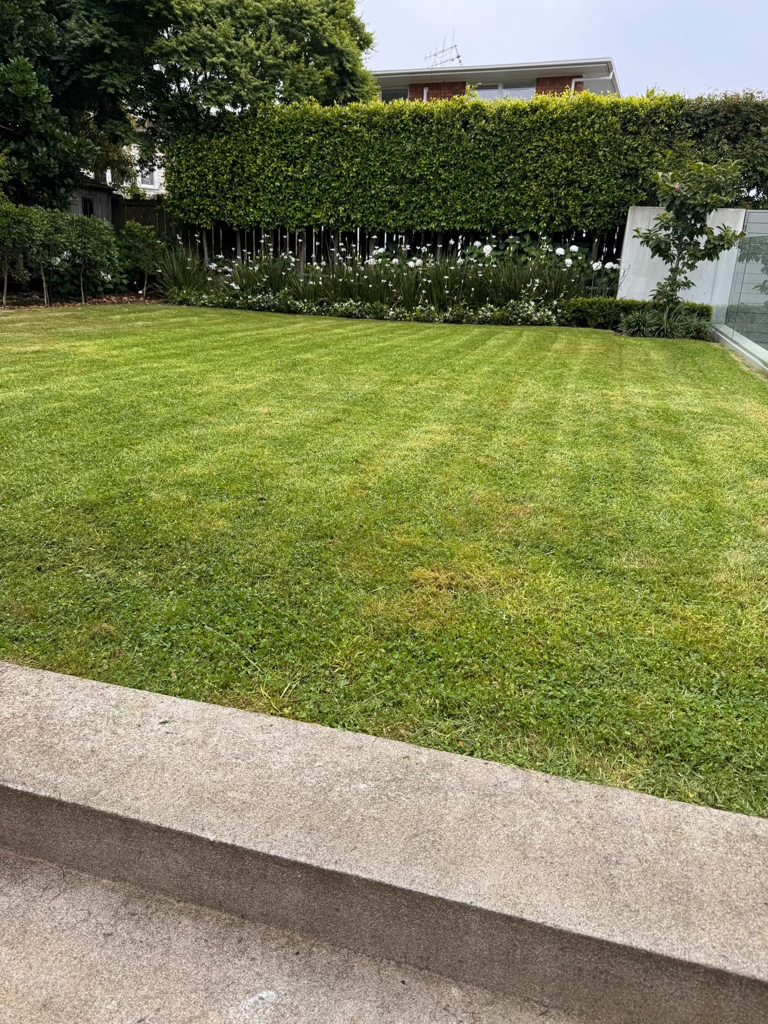 Wide front lawn mown in alternating light and dark stripes, backed by a tall clipped hedge and a deep border of white flowers